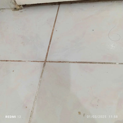 Kullanıcı fotoğrafı 4
